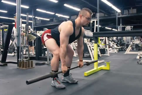 protein shake bottles