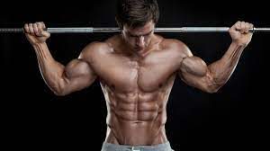 protein shaker bottle