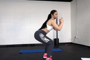 rechargeable protein mixer