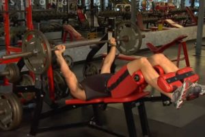 voltrx shaker bottle